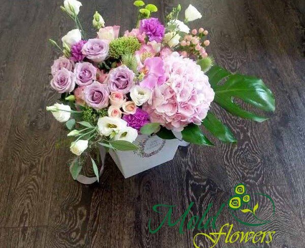Box with hydrangea, alstromeria, hypericum, carnation, rose, eustoma photo